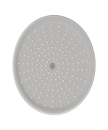 Plastic Shower Head Trends for Modern Bathrooms | RN Valves & Faucets